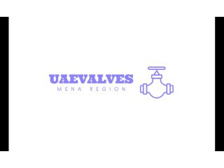 Check valve supplier in Dubai