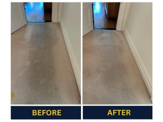 Need Professional Carpet Cleaning in Adelaide? Weve Got You Covered
