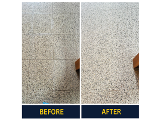 Improve indoor air quality with end-to-end Carpet Cleaning Adelaide