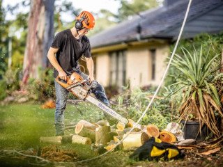 Find genuine Tree Removal Service Murray Bridge