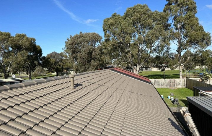 prevent-costly-repairs-due-to-moss-or-algae-growth-with-holistic-roof-cleaning-sa-big-0