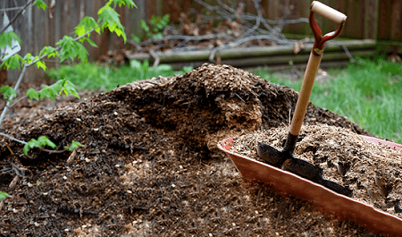 care-for-your-plants-with-top-garden-supplies-in-adelaide-big-0