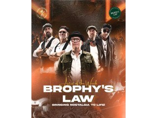 Traditional Irish Music Bands