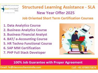 Business Analyst - Level 1 & Level 2 in Delhi, 110045 - "New Year Offer 2025" Free Tableau and "Data Science Course"
