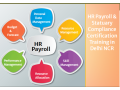 hr-payroll-training-course-in-delhi-with-job-placement-limited-time-summer-offer-2026-by-sla-consultants-india-small-0