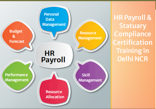 hr-payroll-training-course-in-delhi-with-job-placement-limited-time-summer-offer-2026-by-sla-consultants-india-big-0