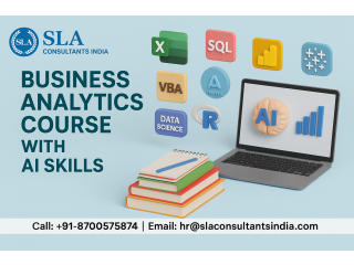 Business Analytics Certification Course in Delhi for High Salary MNC Jobs, Independence Day Offer 2026 by SLA Consultants India