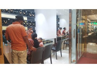 PURE GOLD LACE MYSORE SILK SAREES - ATHARVA