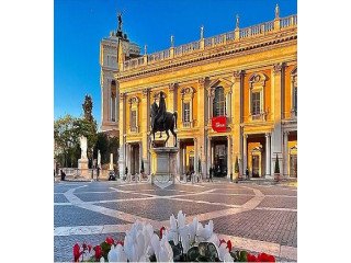 Book your tailored Vatican guided tour to unearth the stunning marvels of Rome