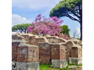 Vatican City Private tours