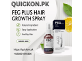 feg-plus-hair-growth-spray-price-in-ferozwala-03001819306-small-0