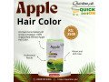 apple-72-hair-color-price-in-jhang-03001819306-small-0
