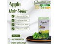 apple-72-hair-color-price-in-sheikhupura-03001819306-small-0