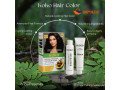 koko-hair-color-price-in-gujrat923476961149-small-0