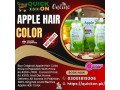 black-apple-hair-color-price-in-larkana-03001819306-small-0
