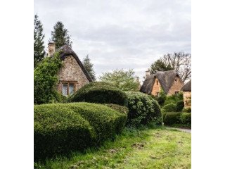 Private Stonehenge Tours for a Comfortable Luxury Journey