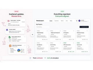 Project reporting software