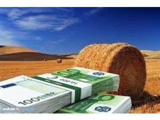 Do you need personal loan WhatsApp +918119841594