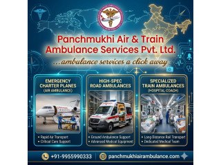 Panchmukhi Air and Train Ambulance Services in Ernakulam Are an Excellent Choice for Transporting Critically Ill Patients