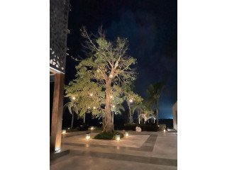 LED landscape lighting Coral Gables