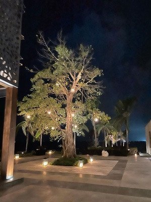 led-landscape-lighting-coral-gables-big-0