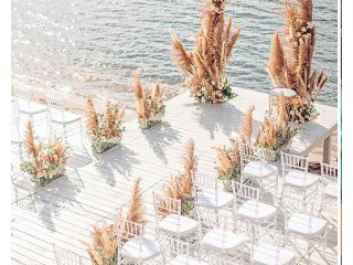 Cherish a once-in-a-lifetime bridal occasion with the best Wedding Planner in Conyers