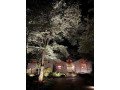 landscape-lighting-miami-dade-small-0