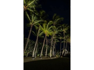 Outdoor Lighting in Miami