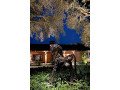 led-landscape-lighting-coral-gables-small-0