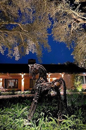 led-landscape-lighting-coral-gables-big-0