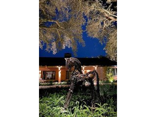LED landscape lighting Coral Gables