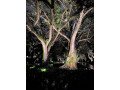 outdoor-lighting-in-miami-small-0
