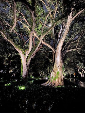 outdoor-lighting-in-miami-big-0