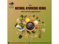 buy-natural-ayurvedic-herbs-with-herbal-supplements-small-0