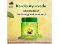 kerala-ayurveda-chyavanprash-for-energy-and-immunity-small-0