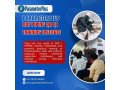 start-ndt-career-with-expert-training-in-patna-small-0