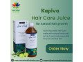 kapiva-hair-care-juice-for-natural-hair-growth-small-0